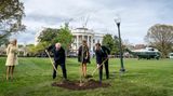 Donald Trump Emmanuel Macron Baum pflanzen