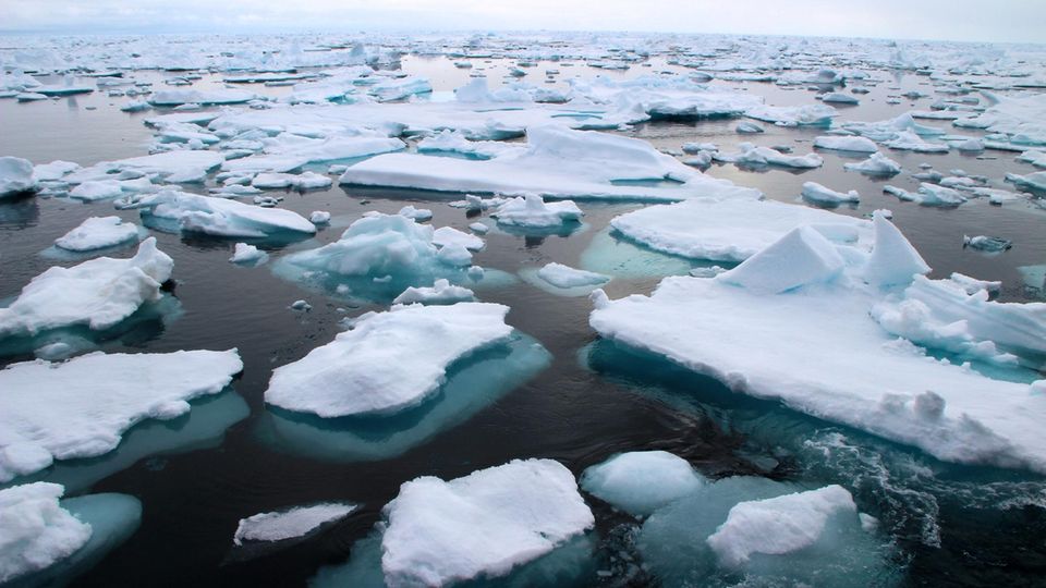Mikroplastik-Müll in der Arktis: Arktisches Meereis in der Framstraße zwischen Ostgrönland und Spitzbergen