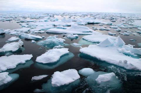 Mikroplastik-Müll in der Arktis: Arktisches Meereis in der Framstraße zwischen Ostgrönland und Spitzbergen
