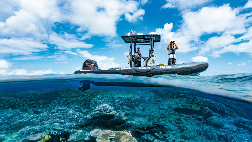 Ranger im marinen Naturpark der zu Frankreich gehörenden Mayotte-Inseln im Indischen Ozean überwachen den Zustand der dortigen Korallen
