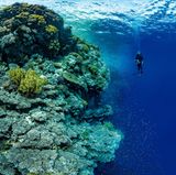 Winzig erscheint der Taucher neben einem Koloss von Korallenriff im Roten Meer nahe der Südküste Ägyptens, einem beliebten Touristenziel