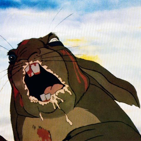 Ein Kaninchen mit blutverschmiertem Mund – eine Szene aus Watership Down.