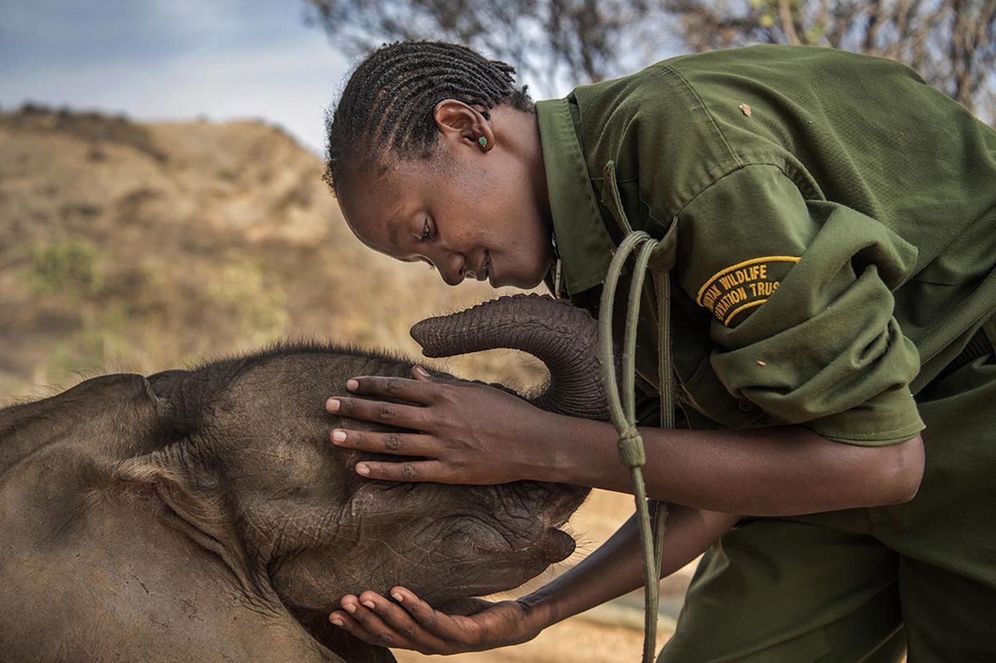 Ausgezeichnete Fotografie: Fotografin: Ami Vitale 29. September 2016 - 23. Februar 2017 1. Preis im Segment "Serien" Im gemeinschaftseigenen Reteti Elephant Sanctuary im Norden Kenias werden verlassene und verwaiste Elefantenkälber rehabilitiert und wieder ausgewildert. Das Schutzzentrum befindet sich im Land der Vorväter des Samburu-Volks. Das Elefanten-Waisenhaus wurde 2016 von Einheimischen gegründet. Alle Männer, die hier arbeiten, sind oder waren einmal Samburu-Krieger. Früher lag der hiesigen Bevölkerung wenig daran, Elefanten zu retten, weil diese eine Bedrohung für Menschen und ihr Eigentum darstellen können. Jetzt haben sie begonnen, ihr Verhältnis zu den Elefanten neu zu bewerten. Mary Lengees, eine der ersten Reteti-Pflegerinnen, streichelt hier Suyian, den ersten Pflegling des Schutzzentrums. Fotografin: Ami Vitale 29. September 2016 - 23. Februar 2017 1. Preis im Segment "Serien" Im gemeinschaftseigenen Reteti Elephant Sanctuary im Norden Kenias werden verlassene und verwaiste Elefantenkälber rehabilitiert und wieder ausgewildert. Das Schutzzentrum befindet sich im Land der Vorväter des Samburu-Volks. Das Elefanten-Waisenhaus wurde 2016 von Einheimischen gegründet. Alle Männer, die hier arbeiten, sind oder waren einmal Samburu-Krieger. Früher lag der hiesigen Bevölkerung wenig daran, Elefanten zu retten, weil diese eine Bedrohung für Menschen und ihr Eigentum darstellen können. Jetzt haben sie begonnen, ihr Verhältnis zu den Elefanten neu zu bewerten. Mary Lengees, eine der ersten Reteti-Pflegerinnen, streichelt hier Suyian, den ersten Pflegling des Schutzzentrums.