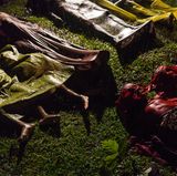 Fotograf: Patrick Brown     28. September 2017    1. Preis im Segment "Einzelfotos"  Ertrunkene Rohingya-Flüchtlinge werden niedergelegt. Das Boot, in dem sie aus Myanmar zu flüchten versuchten, kenterte ungefähr acht Kilometer vor Inani Beach, bei Cox's Bazar, Bangladesch. Es waren rund 100 Menschen an Bord, nur 17 überlebten.    Die Rohingya sind eine vorwiegend muslimische Minderheit von schätzungsweise einer Million Menschen im Bundesstaat Rakhine im Westen Myanmars. Durch in den 80er-Jahren erlassene Gesetze verloren sie den Anspruch auf die myanmarische Staatsbürgerschaft. Am 25. August kam es in Myanmar zu Gewaltausbrüchen, nachdem militante Rohingya bei Überfällen auf Polizeistationen 12 Sicherheitskräfte getötet hatten. Daraufhin griffen die Behörden von Myanmar, mancherorts mit Unterstützung buddhistischer Gruppen, Rohingya-Dörfer an und brannten Häuser nieder. Nach UNHCR-Angaben hatte die Anzahl der daraufhin nach Bangladesch geflüchteten Rohingya am 28. September 500.000 erreicht.