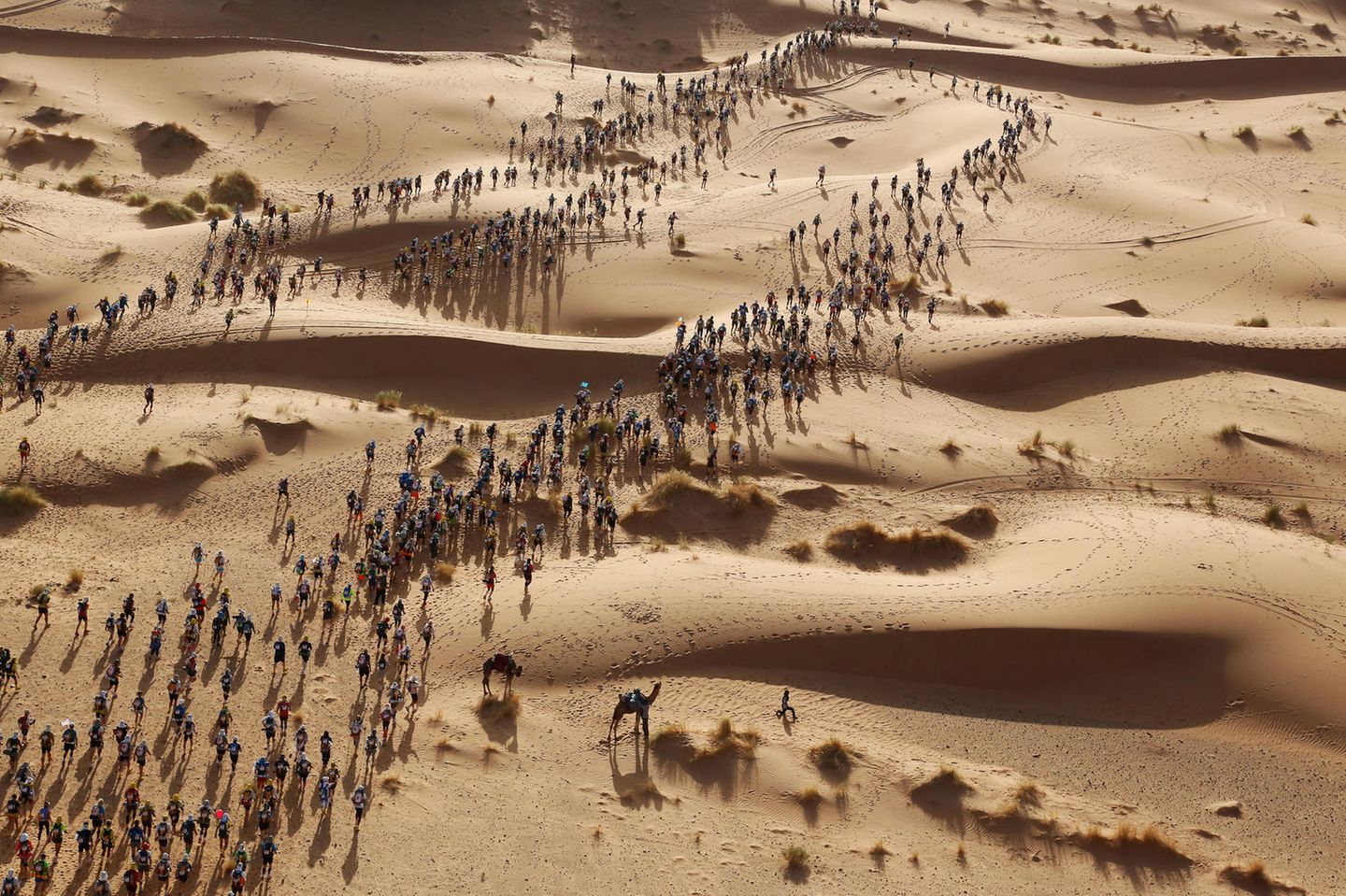 Ausgezeichnete Fotografie: Fotograf: Erik Sampers 14. April 2017 3. Preis im Segment "Einzelfotos" Die Teilnehmer brechen auf zu einer Zeit-Etappe des "Marathon des Sables", in der Sahara-Wüste im Süden Marokkos. Dieser "Marathon des Sands" geht über eine Strecke von über 250 Kilometern bei Temperaturen von bis zu 50 Grad Celsius. Die teilnehmenden Läufer und Wanderer müssen ihre Verpflegung und alle persönlichen Utensilien selbst im Rucksack tragen. An sieben Tagen gibt es sechs Etappen, davon eine besonders lange Etappe von über 80 Kilometern. Der erste "Marathon des Sables" fand 1986 mit 186 Teilnehmern statt. Heute kommen über 1000 Teilnehmer aus rund 50 Ländern zu diesem Lauf. Fotograf: Erik Sampers 14. April 2017 3. Preis im Segment "Einzelfotos" Die Teilnehmer brechen auf zu einer Zeit-Etappe des "Marathon des Sables", in der Sahara-Wüste im Süden Marokkos. Dieser "Marathon des Sands" geht über eine Strecke von über 250 Kilometern bei Temperaturen von bis zu 50 Grad Celsius. Die teilnehmenden Läufer und Wanderer müssen ihre Verpflegung und alle persönlichen Utensilien selbst im Rucksack tragen. An sieben Tagen gibt es sechs Etappen, davon eine besonders lange Etappe von über 80 Kilometern. Der erste "Marathon des Sables" fand 1986 mit 186 Teilnehmern statt. Heute kommen über 1000 Teilnehmer aus rund 50 Ländern zu diesem Lauf.