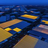 Fotograf: Luca Locatelli     2. Oktober 2016 - 9. März 2017    2. Preis im Segment "Serien"  Die Niederlande sind so klein und dicht bevölkert, dass großflächige Landwirtschaft gar nicht möglich ist. Dank innovativer Anbaumethoden hat sich das Land aber zum wertmäßig zweitgrößten Lebensmittelexporteur der Welt entwickelt. An erster Stelle stehen die USA, mit einer 270-mal so großen Fläche. Die damit verbundene Forschungsarbeit wird größtenteils im Universitäts- und Forschungszentrum Wageningen (WUR) durchgeführt. Dieses Zentrum gilt allgemein als weltweit führendes Institut der landwirtschaftlichen Forschung. Hier dargestellt sind Gewächshäuser im Westland. In dieser Gegend sind 80 Prozent der Anbauflächen unter Glas.
