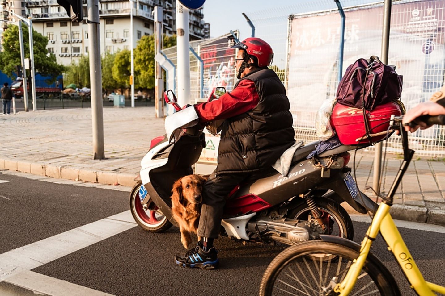 Auf den Straßen von China 2018