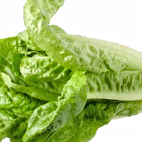 Römersalat mit E. coli-Bakterien verseucht