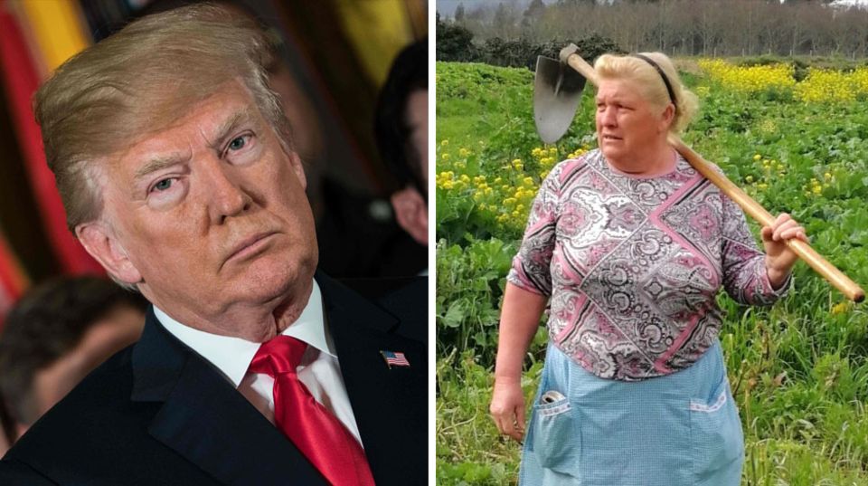 Doppelgänger-Alarm: Diese Spanierin sieht aus wie Donald Trump Doppelgänger-Alarm: Diese Spanierin sieht aus wie Donald Trump