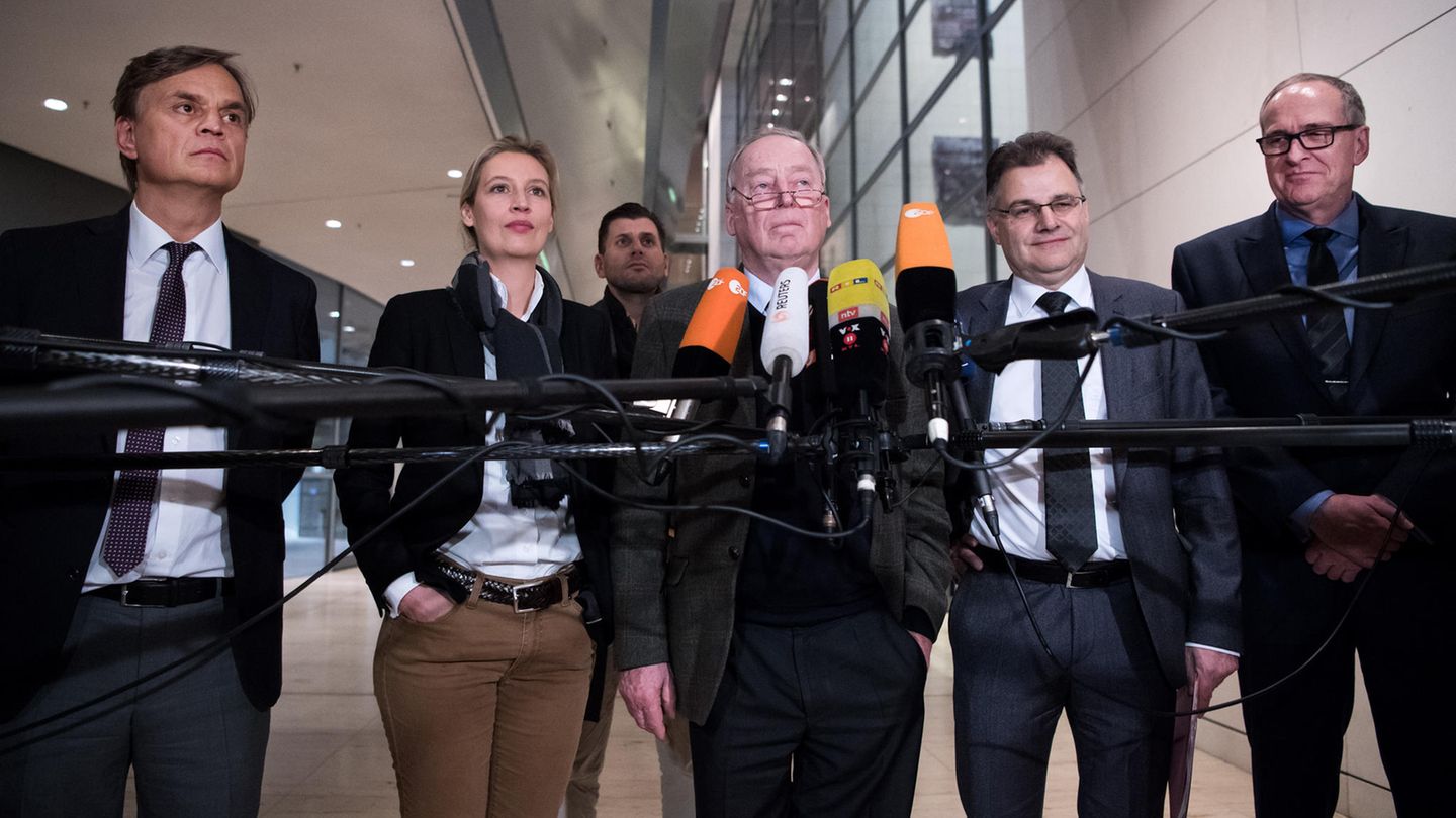 Mitglieder der AfD-Bundestagsfraktion (Archivbild). Antisemitismusbeauftragter Felix Klein wirft der Rechtspartei "durchschaubare Manöver" vor.