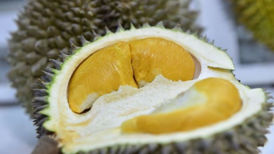 Eine aufgeschnittene Durian-Frucht Eine aufgeschnittene Durian-Frucht