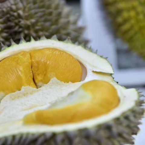 Eine aufgeschnittene Durian-Frucht