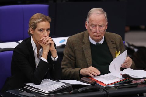 Alice Weidel und Alexander Gauland von der AfD