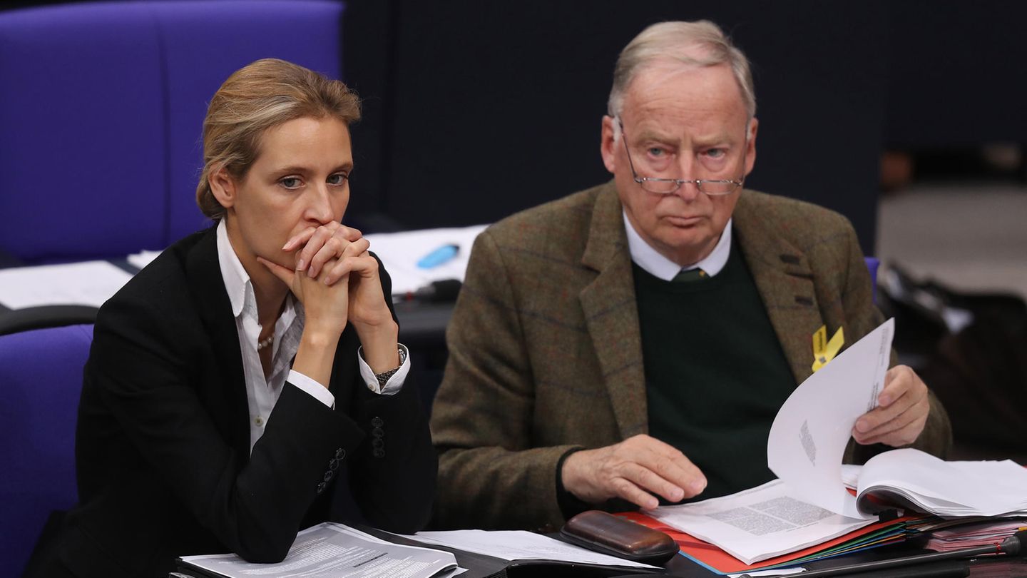 Alice Weidel und Alexander Gauland von der AfD