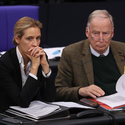Alice Weidel und Alexander Gauland von der AfD