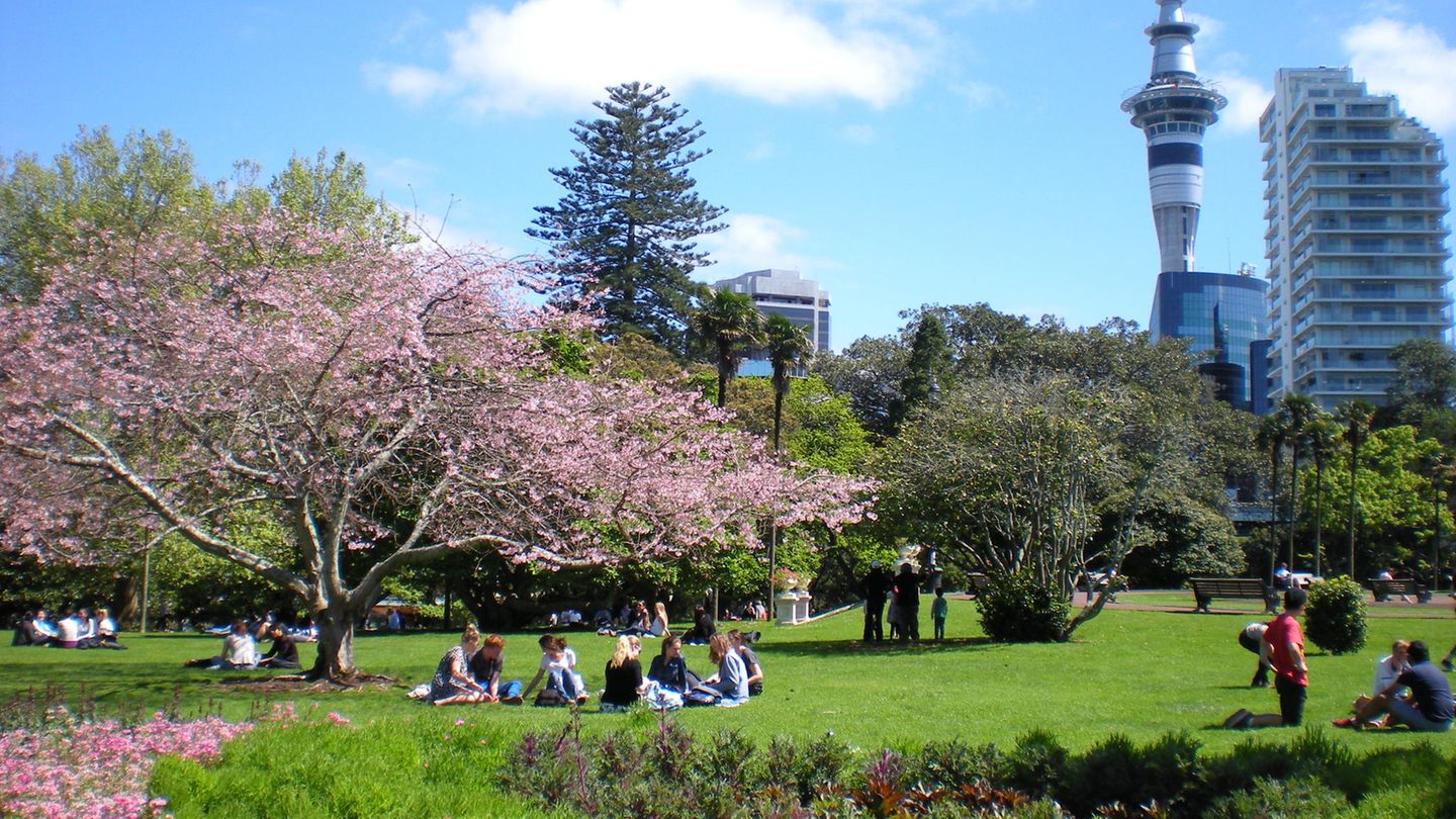 Platz 2: Auckland  Nicht nur bei der Bewertung von Städten mit der höchsten Lebensqualität schneidet Auckland stets gut ab, auch beim Verhältnis von Bewohnern zu Grünflächen: 357 Quadratmeter stehen jedem Bewohner zur Verfügung.
