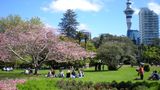 Platz 2: Auckland  Nicht nur bei der Bewertung von Städten mit der höchsten Lebensqualität schneidet Auckland stets gut ab, auch beim Verhältnis von Bewohnern zu Grünflächen: 357 Quadratmeter stehen jedem Bewohner zur Verfügung.