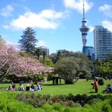 Platz 2: Auckland  Nicht nur bei der Bewertung von Städten mit der höchsten Lebensqualität schneidet Auckland stets gut ab, auch beim Verhältnis von Bewohnern zu Grünflächen: 357 Quadratmeter stehen jedem Bewohner zur Verfügung.