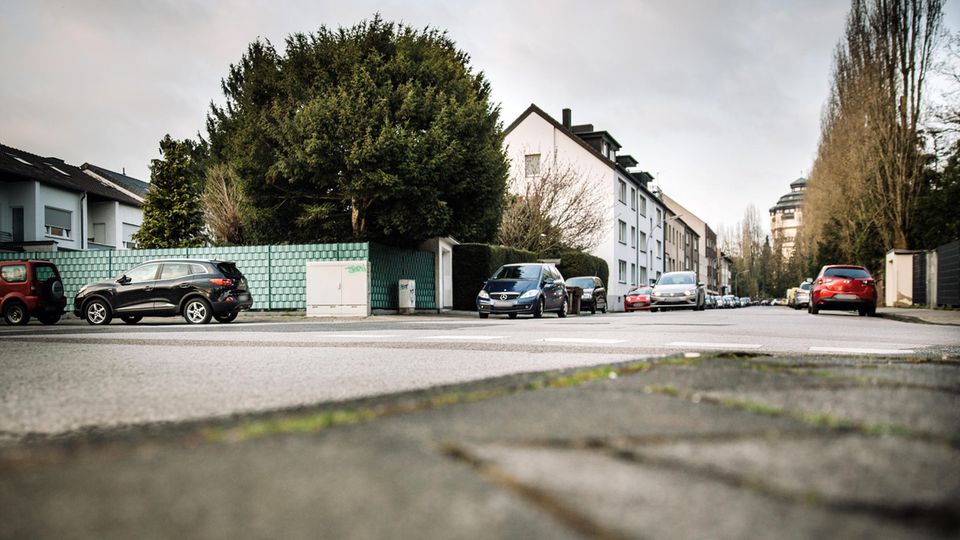Familiendrama am Niederrhein: Die Eibe steht in einer guten Wohngegend von Mönchengladbach. Der Junge war in dem immergrünen Baum kaum zu sehen Die Eibe steht in einer guten Wohngegend von Mönchengladbach. Der Junge war in dem immergrünen Baum kaum zu sehen
