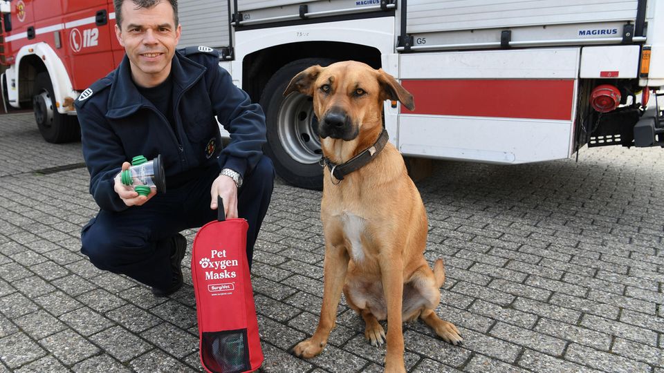 Rettungseinsätze: Ein Mitarbeiter der Feuerwehr Delmenhorst mit Hündin Dora. Er zeigt eine Beatmungsmaske für Tiere. Ein Mitarbeiter der Feuerwehr Delmenhorst mit Hündin Dora. Er zeigt eine Beatmungsmaske für Tiere.