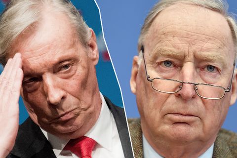 AfD Alexander Gauland