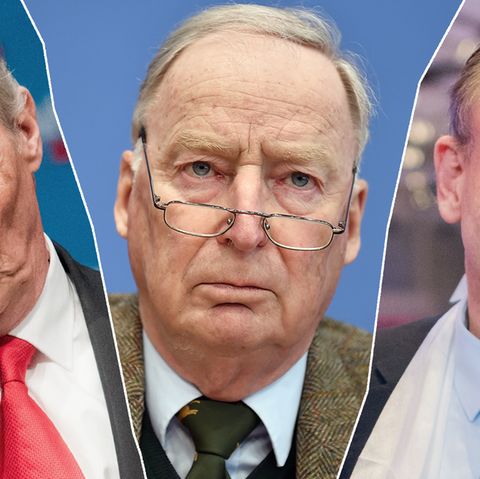 AfD Alexander Gauland