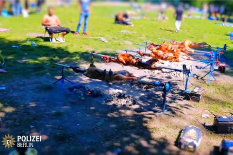 Schafe an Drehspießen auf der Wiese