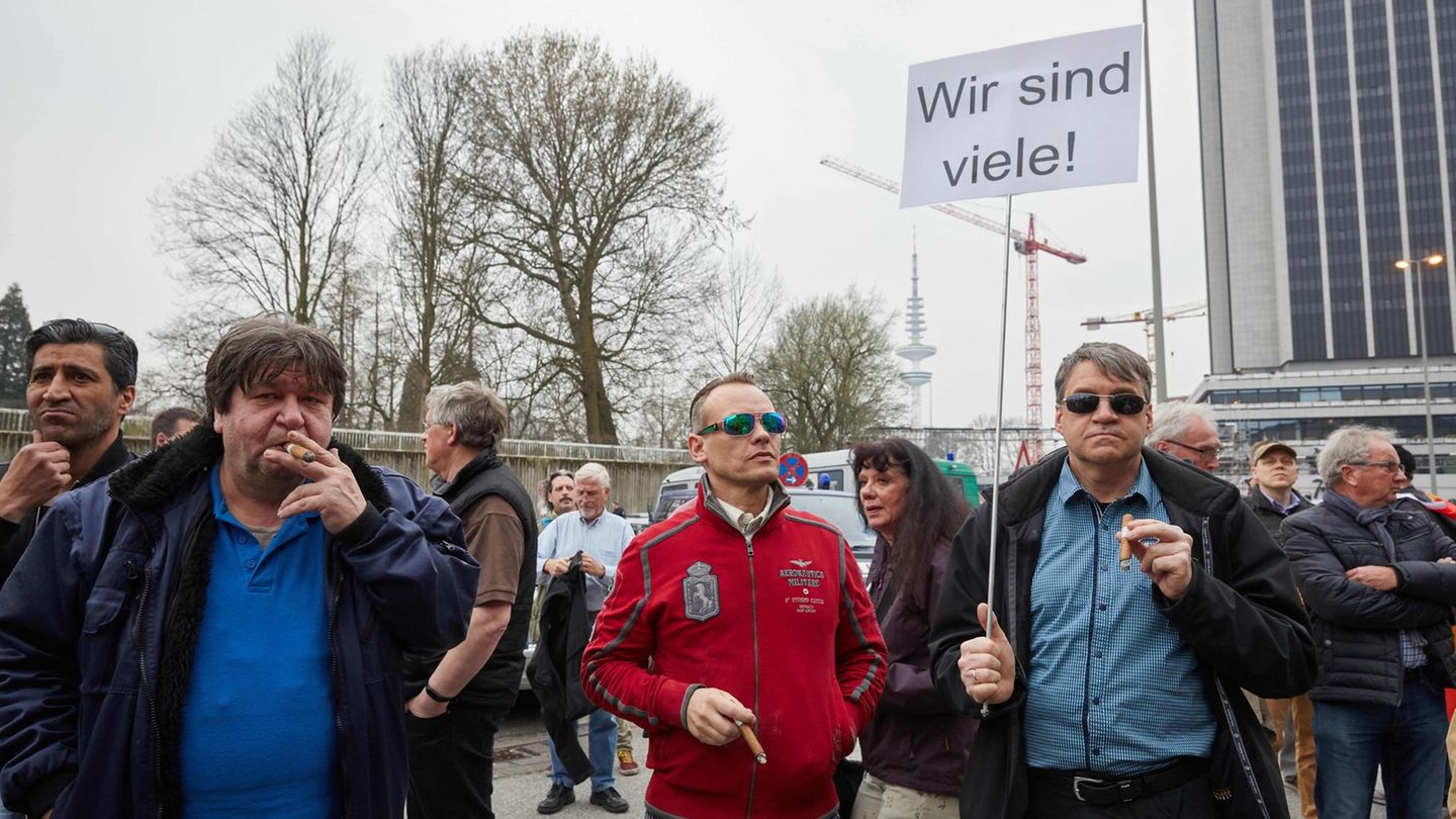 Demonstranten bei der Merkel muss weg-Demonstration in Hamburg