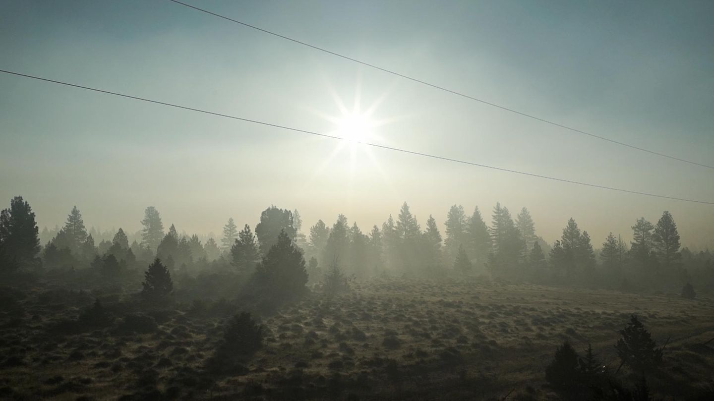 Blick in die Morgensonne: Es riecht nach Rauch. In der Ferne brennt ein Waldfeuer. Der Zug bringt die Fotografin von Oregon nach Kalifornien