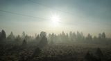 Blick in die Morgensonne: Es riecht nach Rauch. In der Ferne brennt ein Waldfeuer. Der Zug bringt die Fotografin von Oregon nach Kalifornien