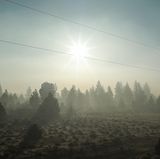 Blick in die Morgensonne: Es riecht nach Rauch. In der Ferne brennt ein Waldfeuer. Der Zug bringt die Fotografin von Oregon nach Kalifornien