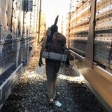 Ben läuft vor der Fotografin zwischen zwei stehenden Zügen, den Regenschirm am Rucksack. Wenn sie losfahren, kann es gefährlich werden