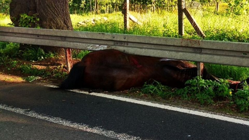 Nachrichten Deutschland Waschow Nachrichten aus Deutschland: Unfall in Waschow