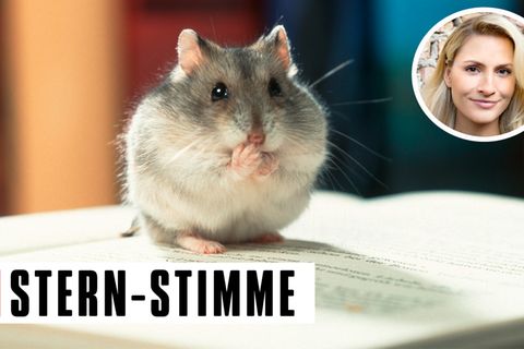 C. Tauzher: Mutter in Rage und ihre Kinder: Was tut das Kind nicht alles für einen Hamster