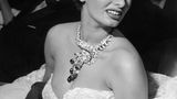 Sophia Loren