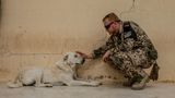 Ein Bundeswehrsoldat streichelt einen Hund