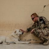 Ein Bundeswehrsoldat streichelt einen Hund