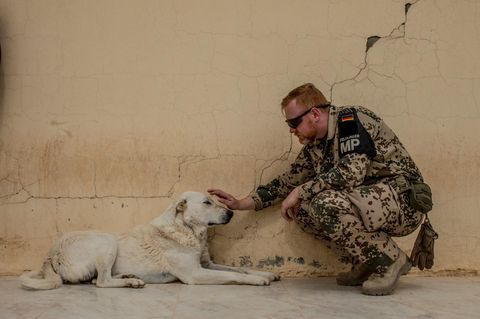 Ein Bundeswehrsoldat streichelt einen Hund