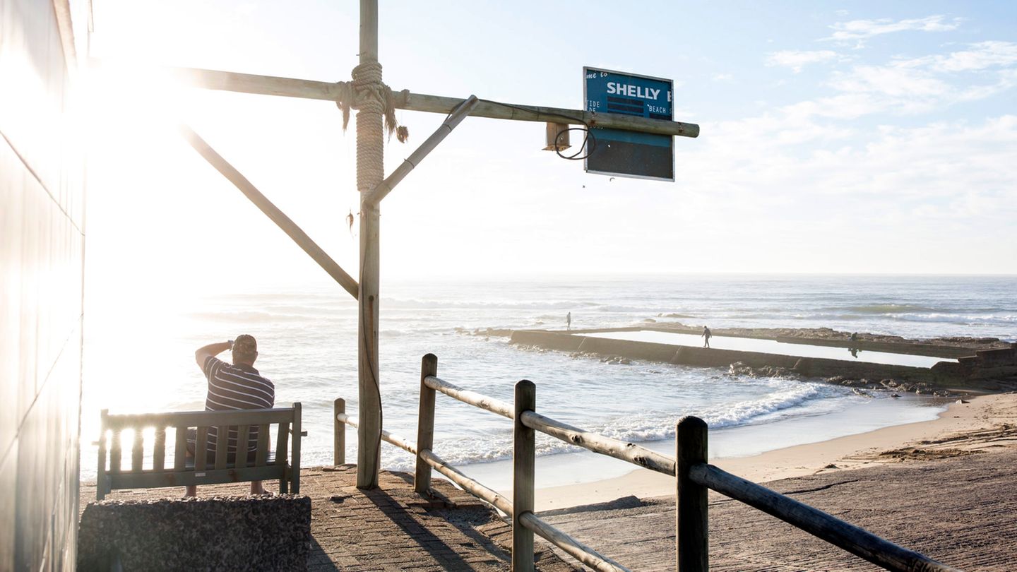 Haie mögen kein Menschenfleisch. An Land muss man sich darüber keine Gedanken machen – "Sharknado" ist nicht real.