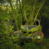 Bild 1 von 13 der Fotostrecke zum Klicken:  Dieses grüne Biotop mit einem Chrysler Imperial aus dem Jahre 1939 fand Dieter Klein im Bundesstaat Georgia - eines von seinen Motiven, die in seinem Doppelband "The Fabulous Emotion - Retired  Automobiles of North America" erschienen sind.