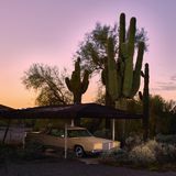 Abgestellt in der kalifornischen Wüste zwischen Kakteen, aber geschützt unter dem Dach eines Carports hat einer diesen Lincoln Continental aus dem Jahre 1969 eingeparkt.