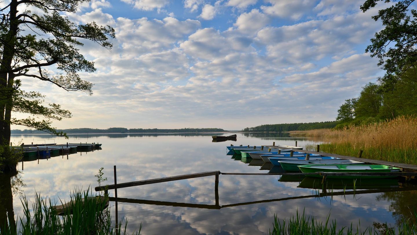 Groß Schauener See Groß Schauener See - Im brandenburgischen Kanada Am Steg dümpelt ein Ruderboot, der Wind kräuselt Wellen über den Groß Schauener Sees. Die Sonne steht tief, man sitzt unter einer Waldkiefer, isst ein Stück geräucherten Aal aus der örtlichen Fischerei, fühlt sich wie in Kanada – aber nicht 50 Kilometer entfernt von Berlin-Mitte. Die Naturlandschaft Groß Schauener Seen hat der verstorbene Tierfilmer Heinz Sielmann geschaffen, Fischotter und Fischadler sollten eine Heimat finden, Kraniche und Kormorane auch. Wer länger als einen Tag im brandenburgischen Kanada verweilen will, mietet sich einfach in der Fischerei ein. Die Hauptstadt ist Lichtjahre entfernt. www.koellnitz.de