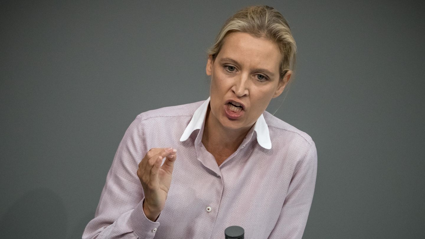AfD-Fraktionschefin Alice Weidel im Bundestag