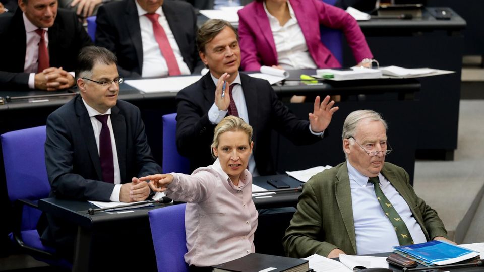 Bundestag: AfD-Fraktionschefin Alice Weidel legt Einspruch gegen Ordnungsruf ein - Abstimmung im Parlament