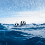 Offener Ozean. Dunkelblaue Tiefe. Wellen. Im Wasser kreisen mehrere Haie.