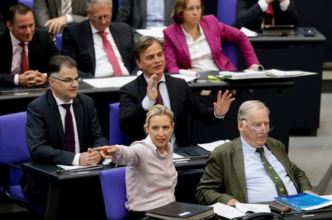 Ordnungsmaßnahmen im Bundestag: Alice Weidel von der AfD wird zur Ordnung aufgerufen - wer noch?