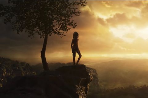 Kinotrailer "Mogli": "Ich bin kein Mensch, aber ein Wolf bin ich auch nicht" – Das Abenteuer Dschungelbuch geht weiter
