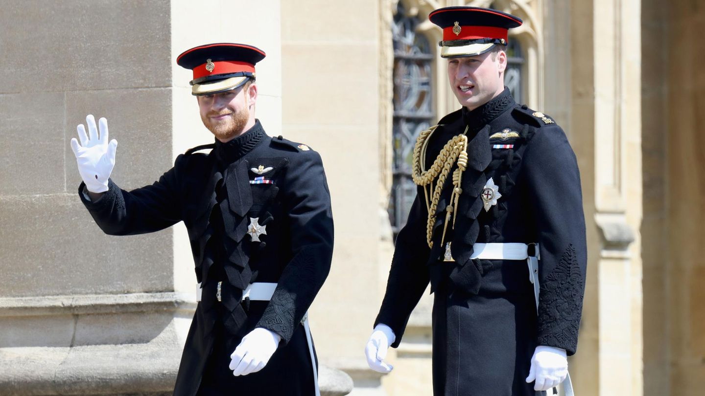 Prinz Harry Prinz William