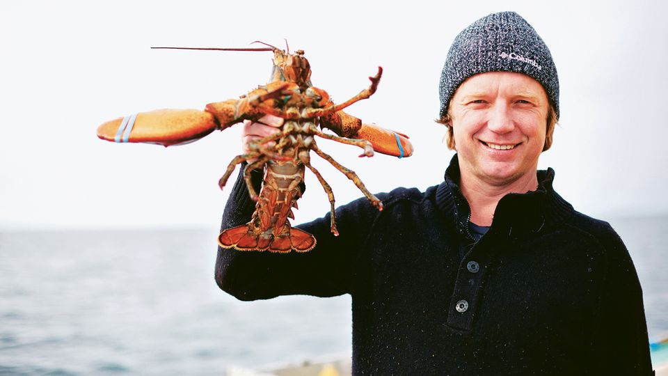 Nachhaltigkeit: Der Niederländer Bart van Olphen liebt Fisch und Meeresfrüchte – und kämpft deshalb dafür, dass die Bestände nicht aussterben Der Niederländer Bart van Olphen liebt Fisch und Meeresfrüchte – und kämpft deshalb dafür, dass die Bestände nicht aussterben