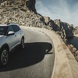 Zu Beginn wird es die üblichen PSA-Motoren geben